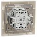 Schneider Electric Asfora EPH0300123 Выключатель двухклавишный самозажимной